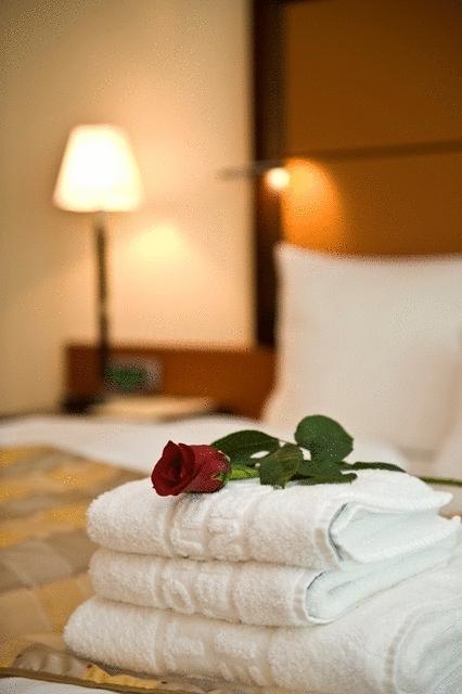 Aparthotel Premier 波德戈里察 客房 照片